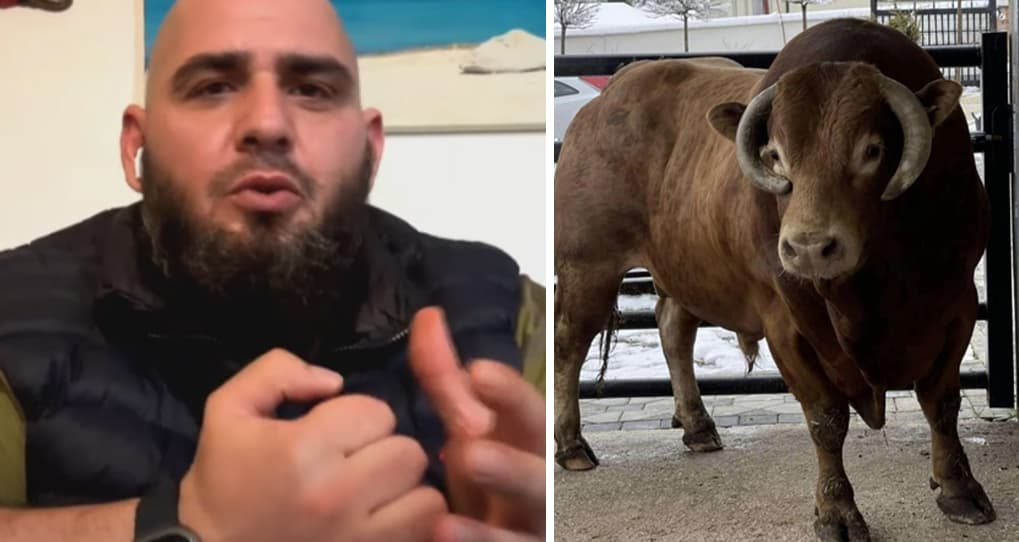 Bujar Muli që synon rekordin e radhës për ta rrëzuar bikun me goditje: Nuk do ta bëj nëse kjo e lë me pasoja kafshën