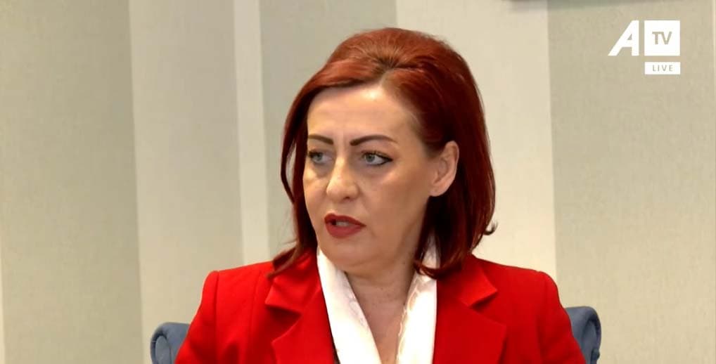 Redzepi: Kosovën e shoh si shtet multietnik dhe demokratik