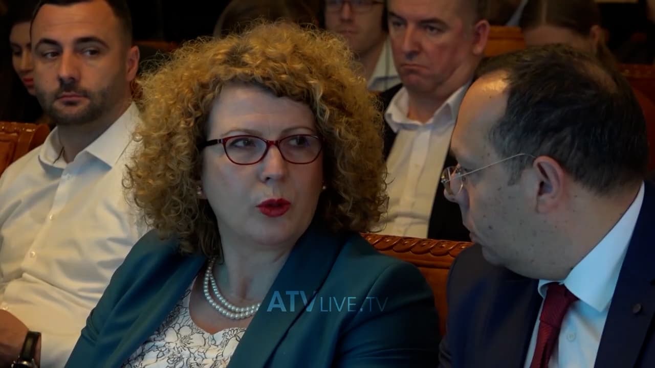 Afro 8 mijë gra afariste kosovare kanë marrë 643 milionë euro kredi në bankat komerciale