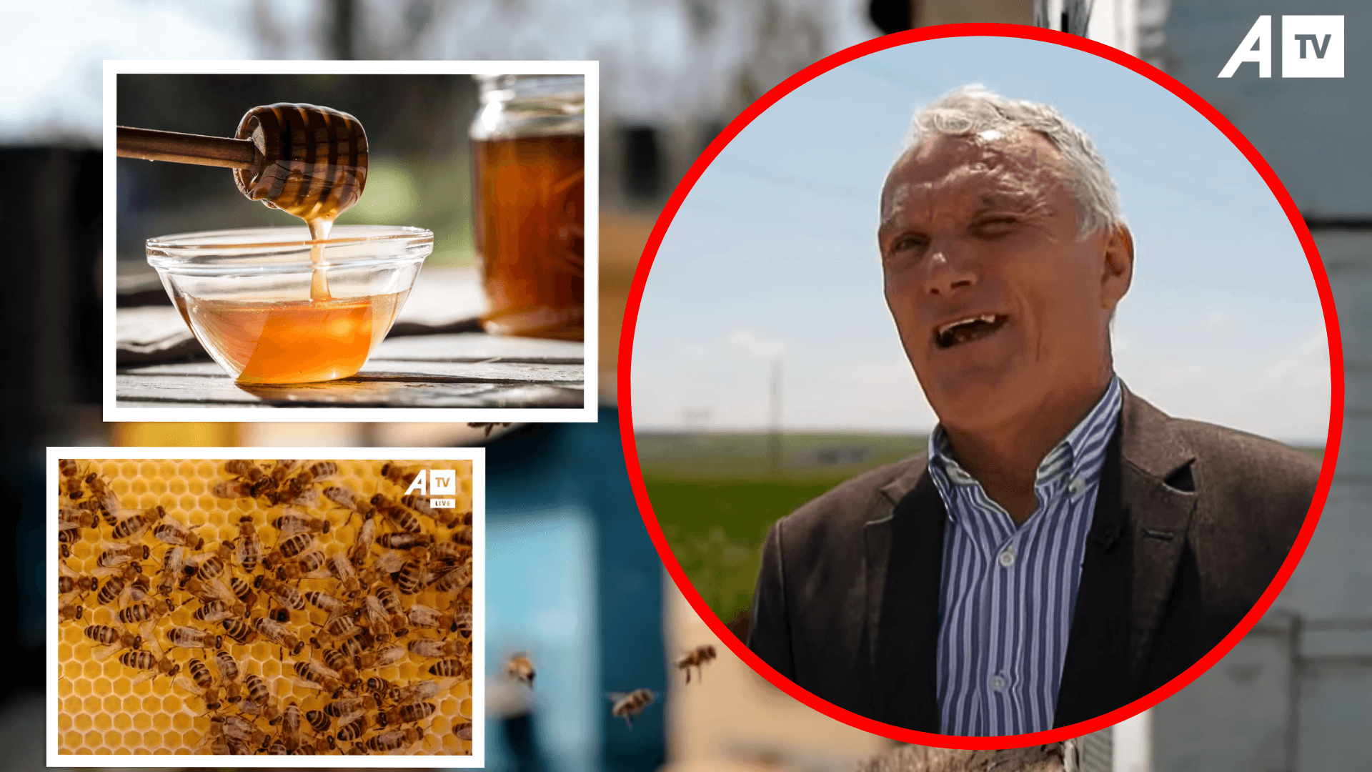Ruzhdi Kukaj flet për vetitë ushqyese dhe shëruese të mjaltit