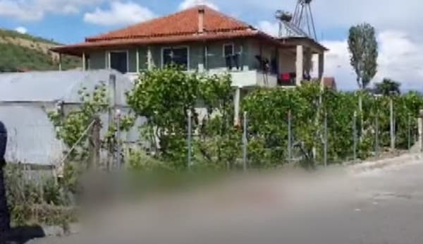 Vret kunatën me sëpatë, arrestohet një 55-vjeçar