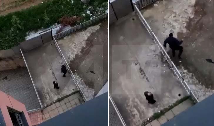Lajmi i fundit: Gjuajtje me armë në Emshir