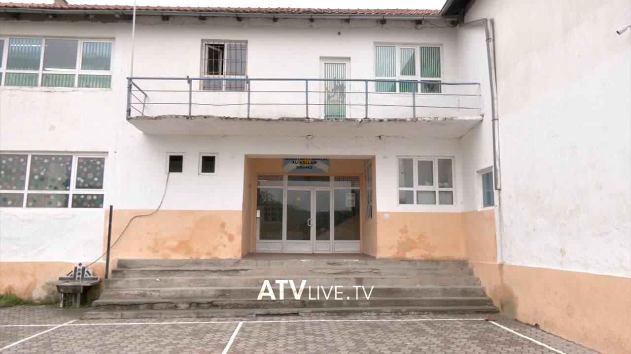 Në një shkollë të Kaçanikut ndërpritet mësimi, shkak insektet
