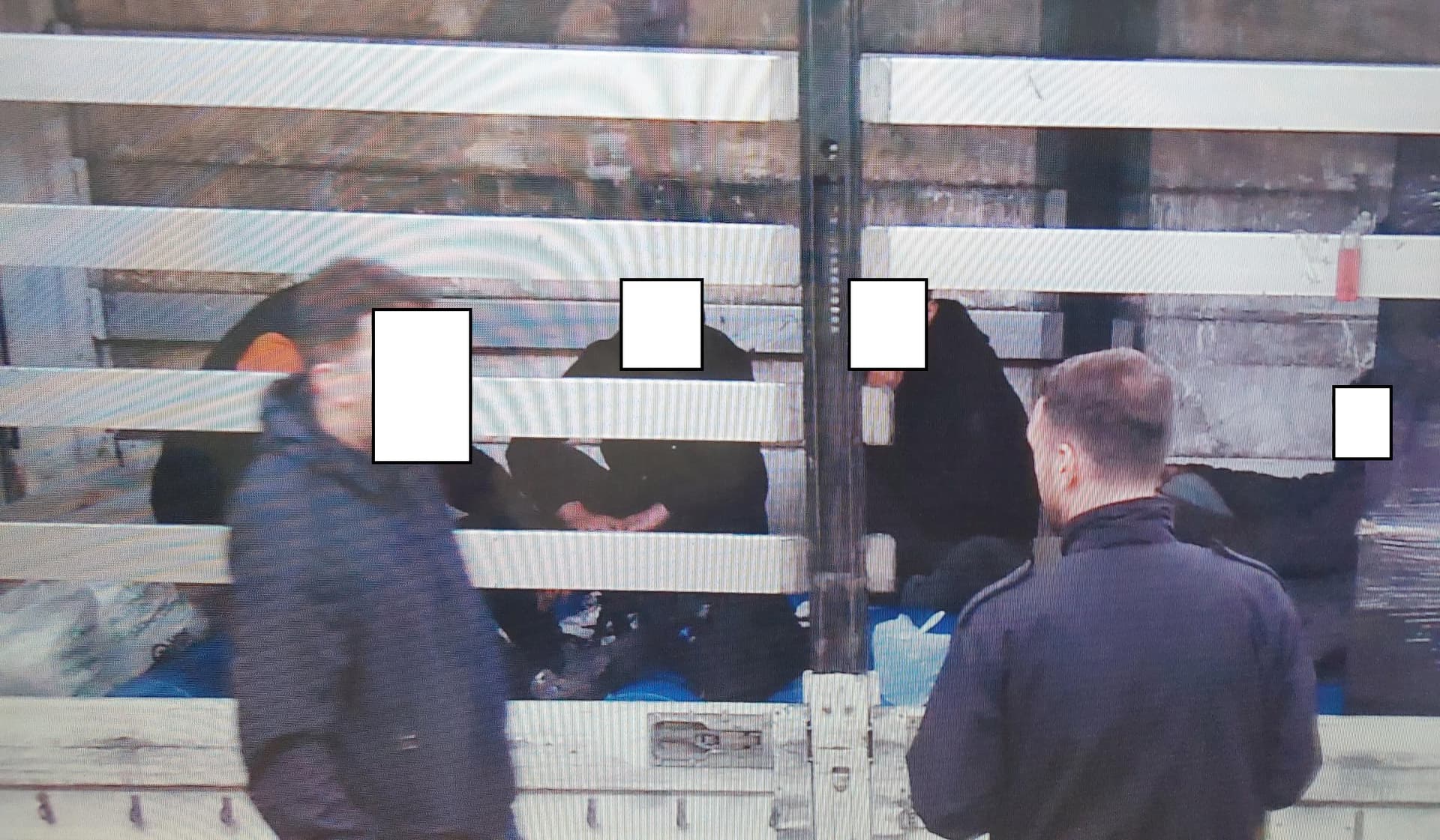 Ndalohen pesë emigrantë ilegalë, u gjetën në një kamion të mallrave