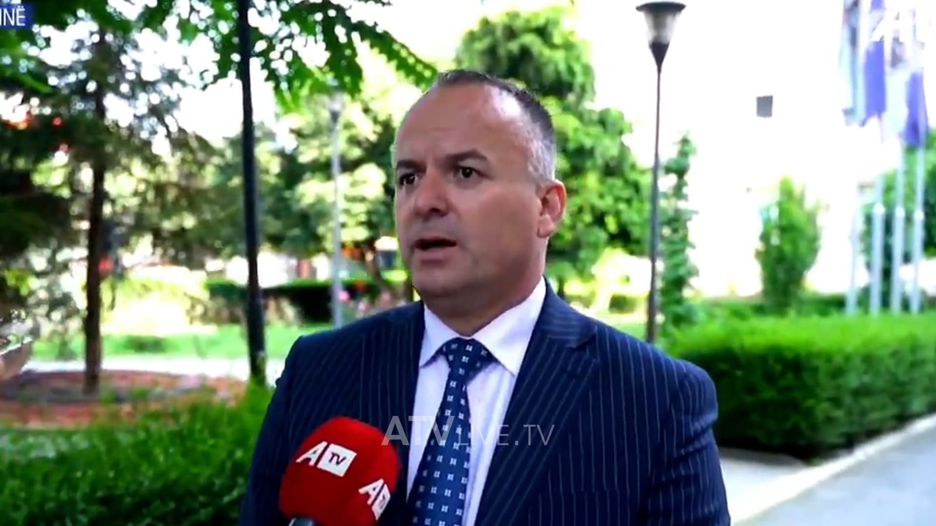 50 euro për atë që adopton një qen endacak, Fushica tregon si erdhi deri te ky vendim i Komunës