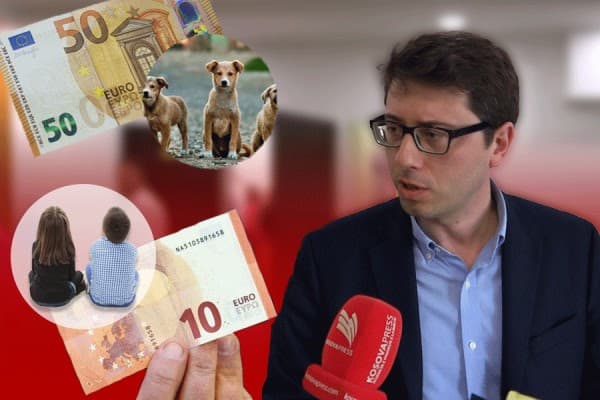 Qeveria ndan 10 euro për fëmijë e 50 euro Prishtina për qen, flet ministri Murati