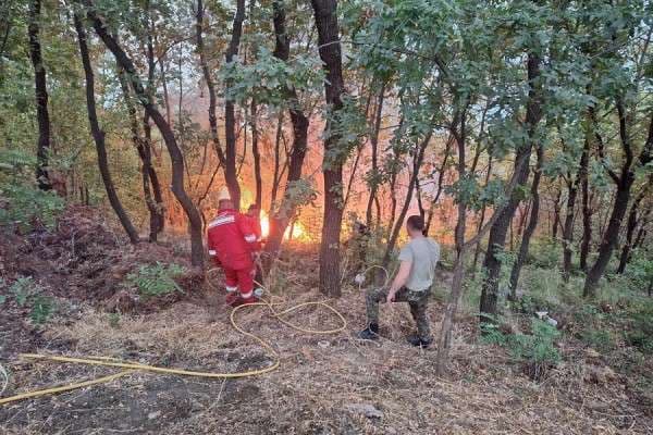 ​Tri shtëpi e hektarë tokë të djegura në Fier, vatra aktive në Vlorë, Tepelenë e Memaliaj
