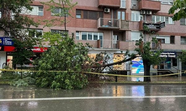 Erërat e forta rrëzojnë drunjtë përballë stacionit të policisë në Prishtinë, vendi rrethohet me shirita