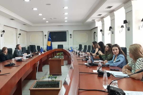​Szunyog, takim me anëtarët e Komisionit parlamentar për Punë të Jashtme