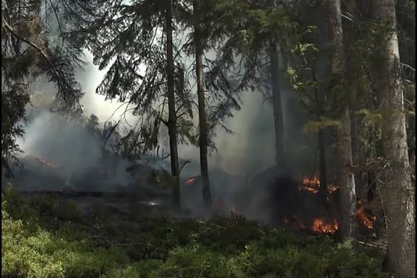 ​Policia bën thirrje për shkak të temperaturave të larta: Mos ndizni zjarre