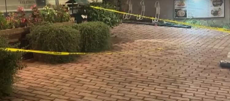 Plagoset rëndë me thikë një pushues nga Kosova në Shëngjin