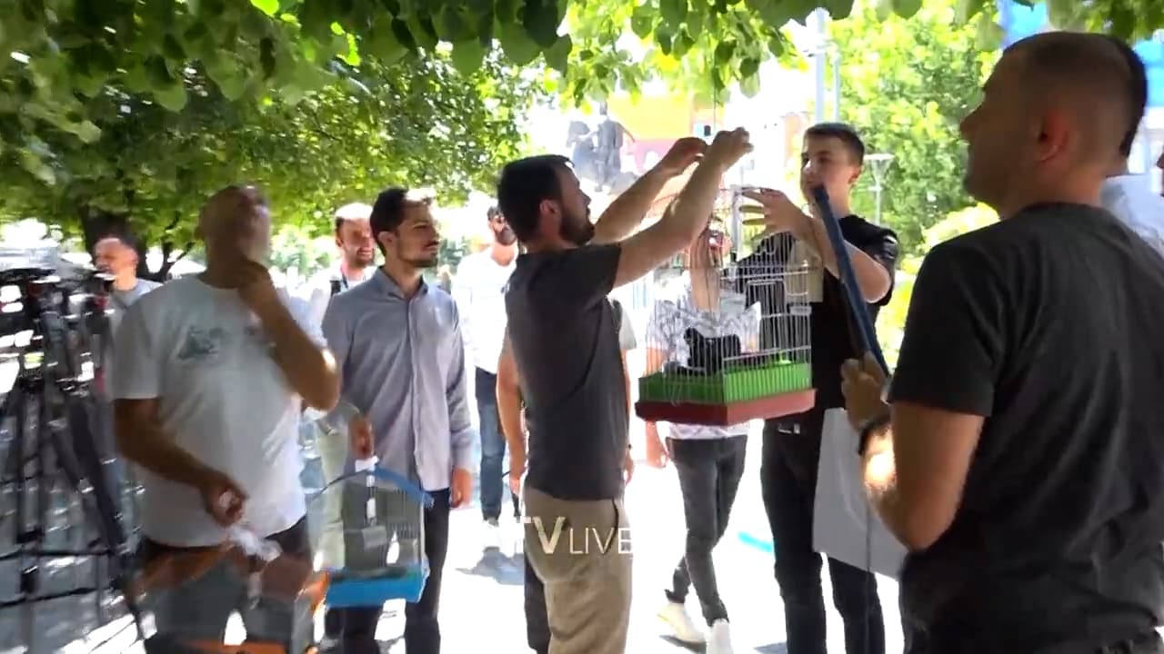 “Pushteti i do mediat, por në kafaz”, PSD ja aksion kundër Qeverisë