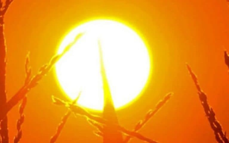 Kjo verë theu rekorde për nxehtësi, thonë meteorologët