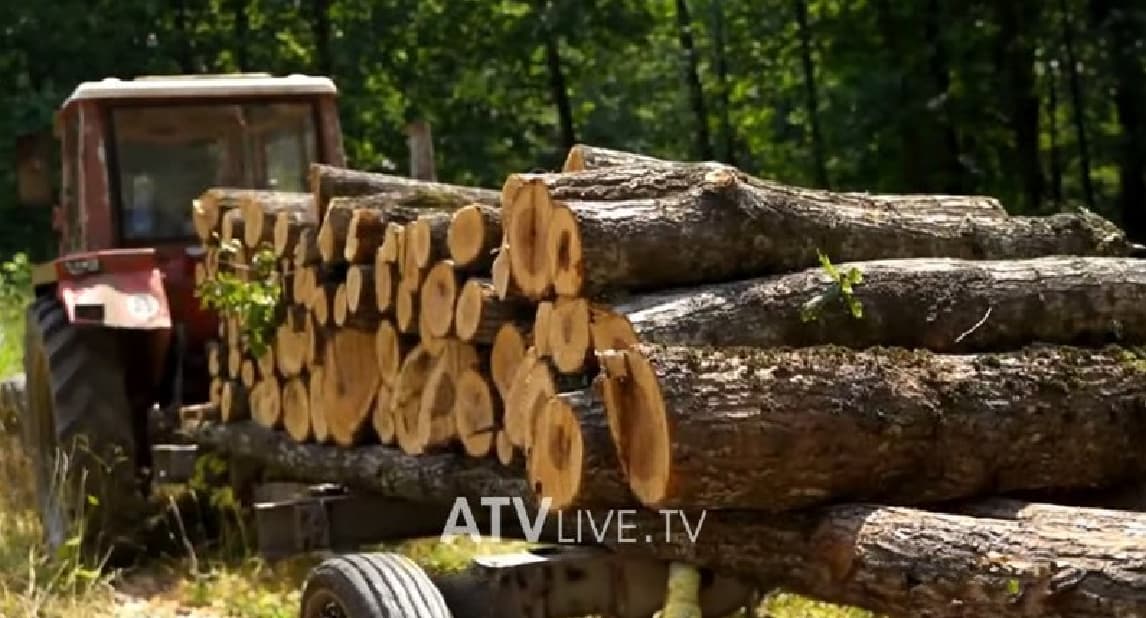 70 euro një metër dru, shitësit arsyetojnë çmimin