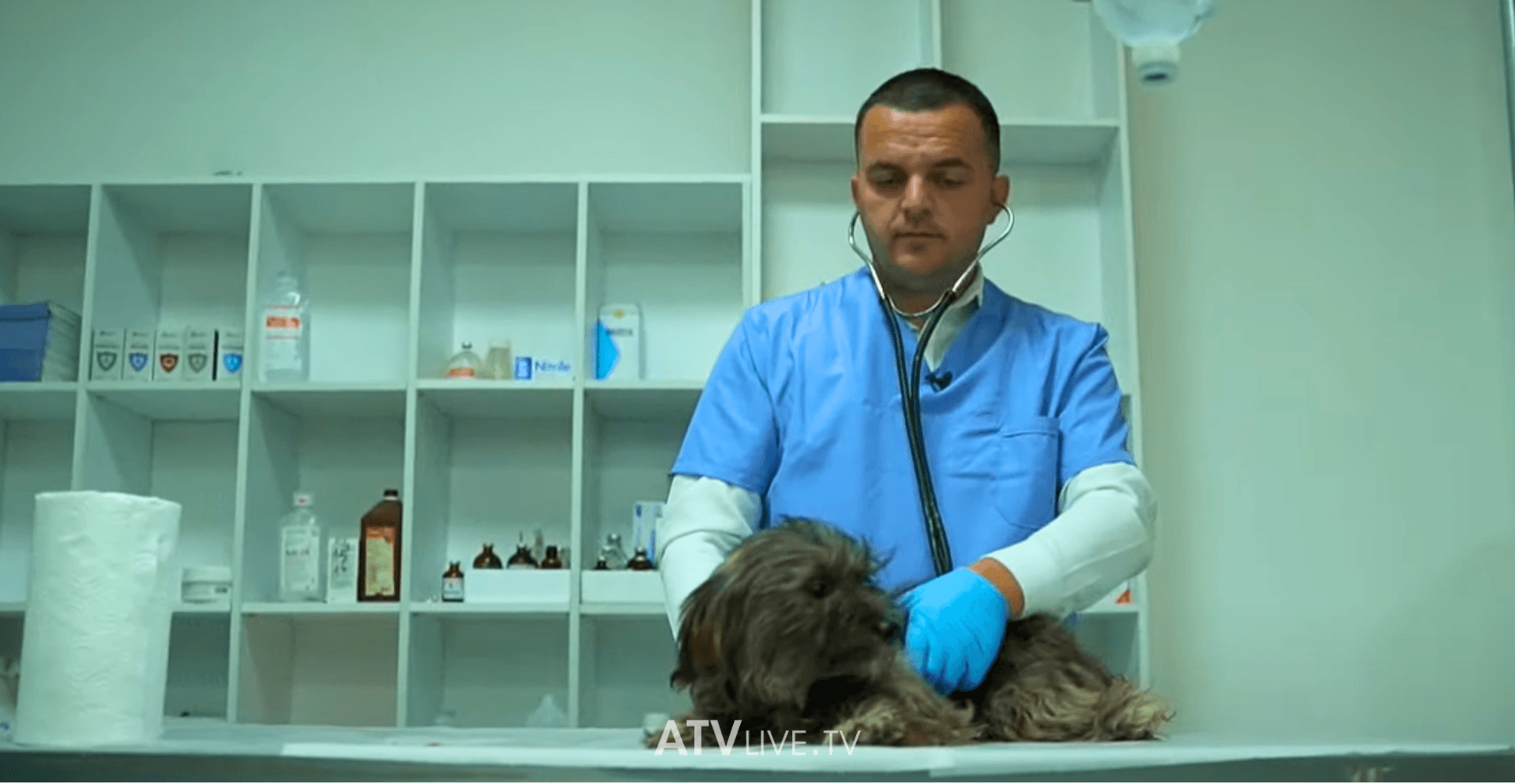 Dashuria e madhe ndaj kafshëve e nxiti të bëhej veterinar