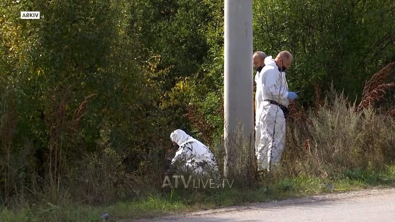 Vrasja për disa kilogramë fasule në Batllavë familja e viktimës kërkon ashpërsim të dënimit