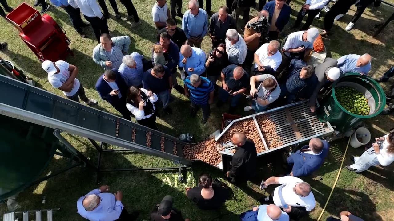 Në Suharekë u mbajt manifestimi ‘Dita e Arrës’