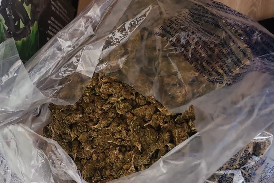 Policia konfiskon 21 paketime me marihuanë në Skenderaj