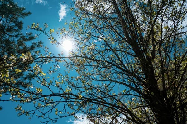 Moti për ditën e sotme me diell, maksimalja arrin deri në 18°C