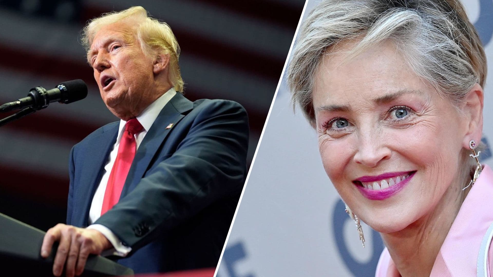 Sharon Stone përbetohet se do ta lërë Amerikën në rast se Trumpi zgjidhet edhe një herë president