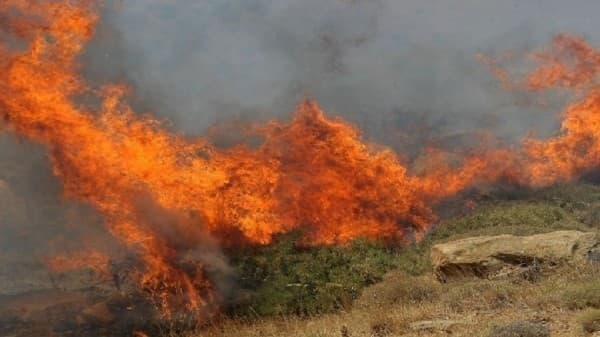 AME: 633 zjarre të raportuara javën e fundit, nëntë vatra aktive