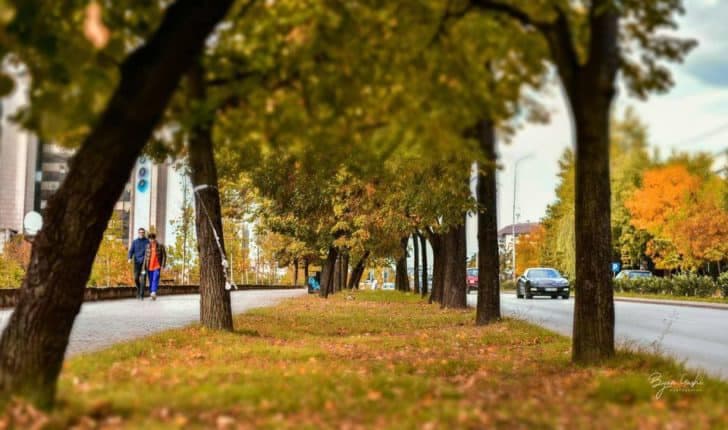 ​Moti sot në vendin tonë