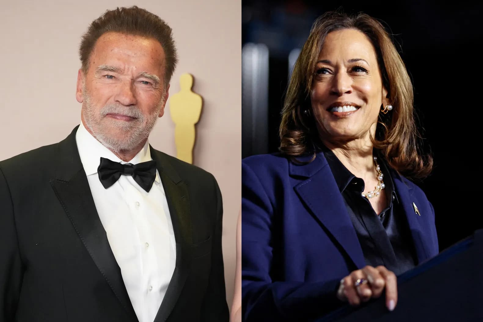 Arnold Schwarzenegger thotë se do të votojë për Kamala Harris në zgjedhjet presidenciale