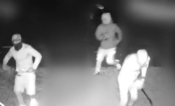 ​Kryen ‘vrasjen e gabuar’, 4 të rinjtë britanikë marrin burg të përjetshëm