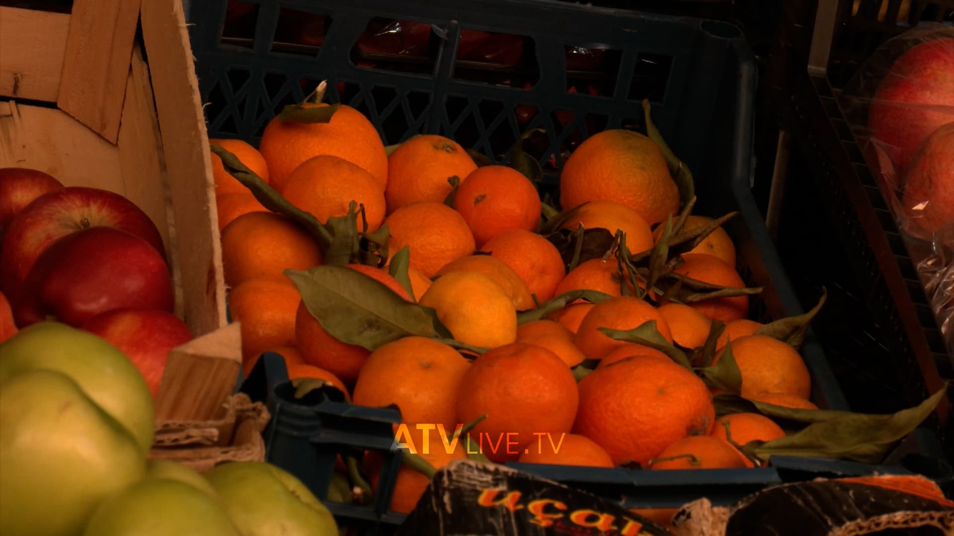 ​Mandarinat me pesticide, ministria e Bujqësisë në Shqipëri tregon sasinë e asgjësuar