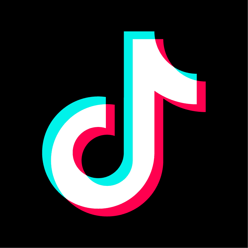 Heidi Montag dhe Spencer Pratt: TikTok na ka ndihmuar të mbijetojmë pas humbjes së shtëpisë