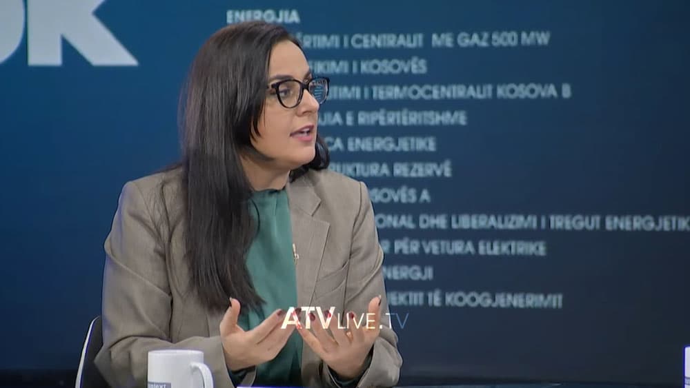 Lushaku: LDK-ja do t’i ndërtojë 80 çerdhe në Kosovë