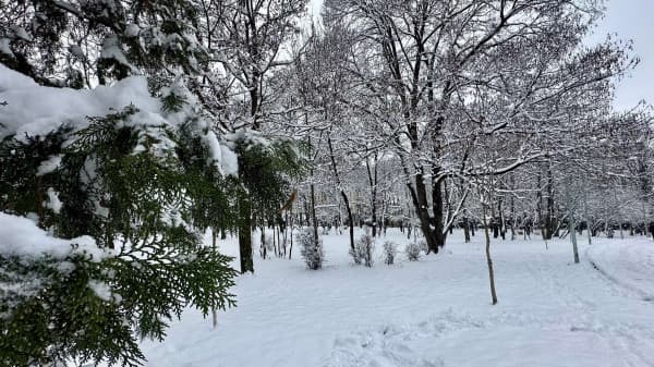 Parashikimi i motit për sot