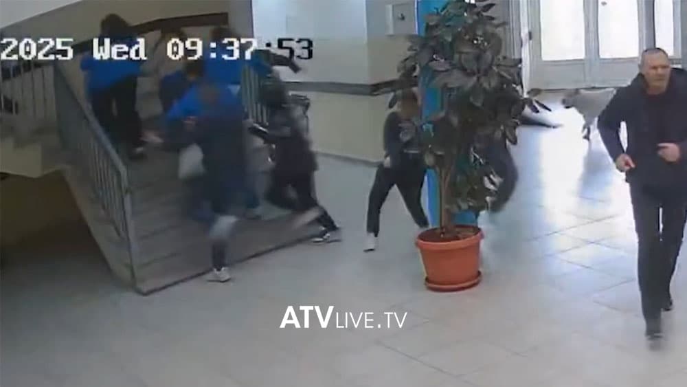Katër nxënës të lënduar nga sulmi i qenit brenda një shkolle në Suharekë