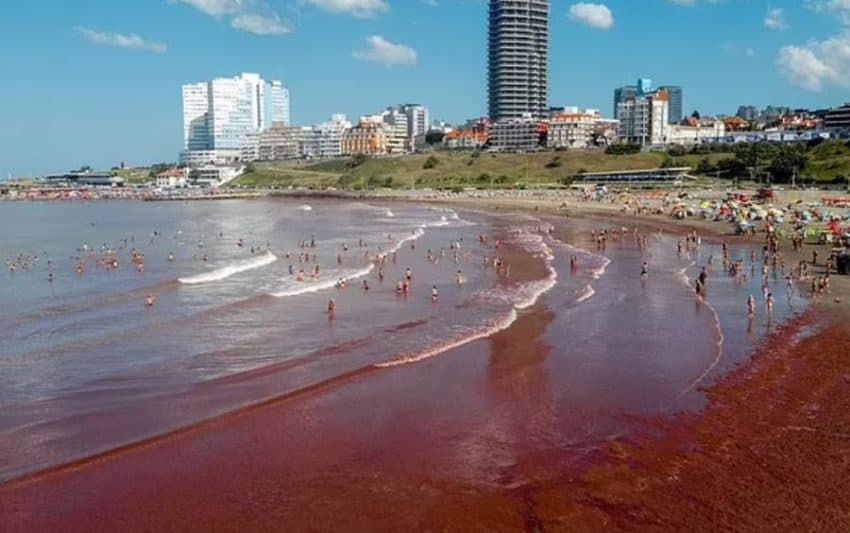 Fenomen i pazakontë në brigjet e Floridas, pse uji i detit kthehet në ngjyrë të kuqe?!