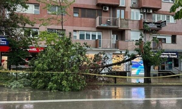 Paralajmërohen erëra të fuqishme, Komuna e Prishtinës: Shmangni qëndrimin pranë objekteve të larta dhe pemëve