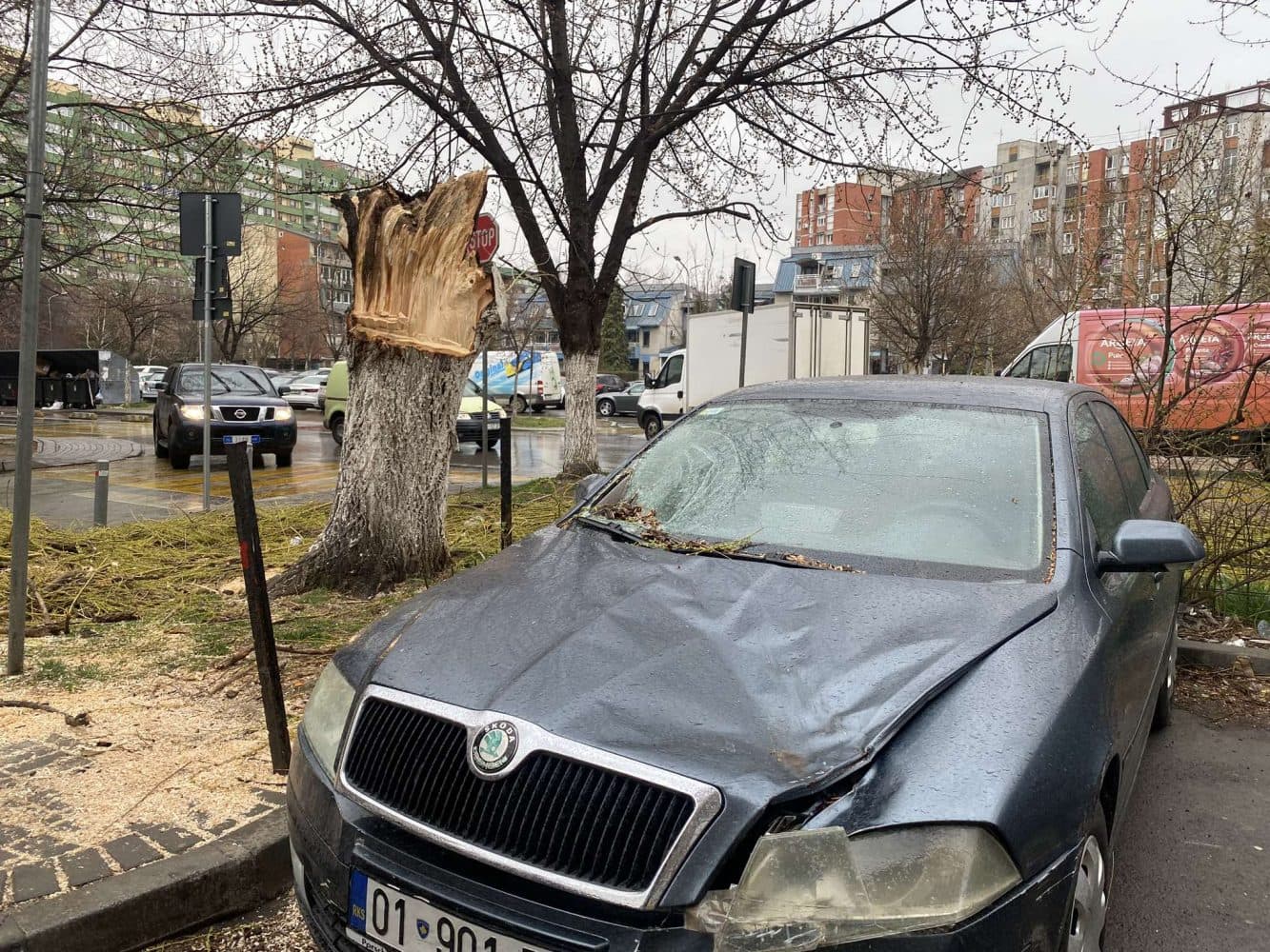 Rrëzohet lisi nga era e fortë, dëmtohen disa vetura