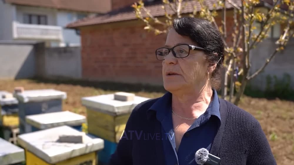 Pas humbjes së burrit në luftë, Xhyla Hasani e gjeti qetësinë tek bletët