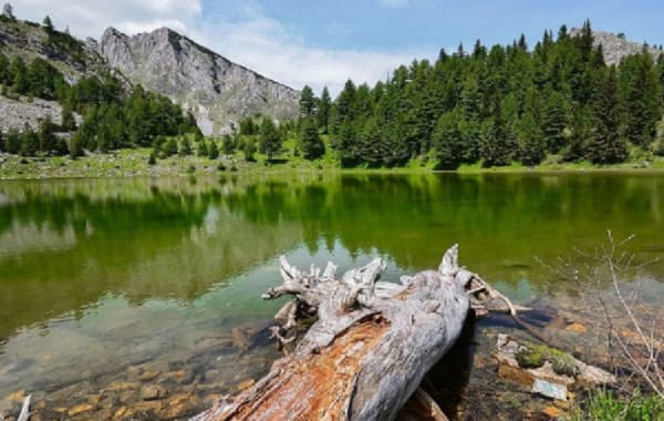 ​Rritet numri i turistëve, ja cila është komuna më e vizituar