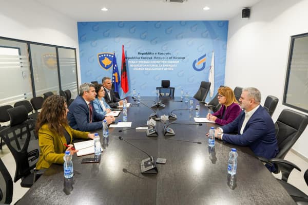 ​LDK dorëzon në ZRrE kërkesën për anulimin e vendimit për shtrenjtimin e rrymës