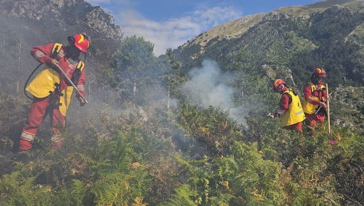 Situata me zjarre në Shqipëri, 5 vatra janë ende aktive