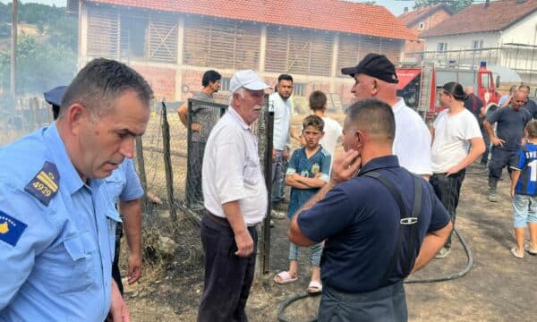 Zjarri shkatërron stallën e një fermeri në Viti, digjen mbi 40 dele