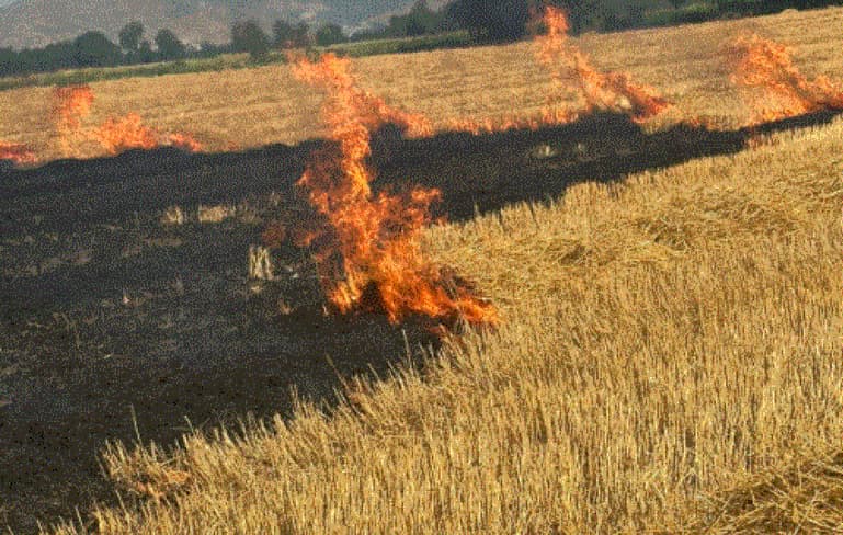Arrestohet 51-vjeçari në Himarë, dyshohet se ndezi zjarr dhe shkatërroi tokë bujqësore