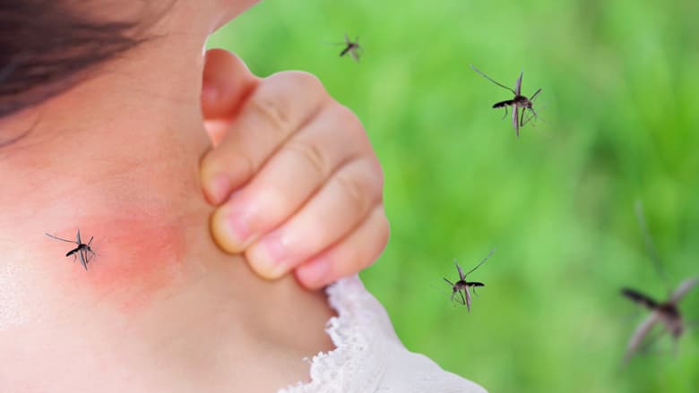 Si të përgatisni një solucion natyral dhe jo toksik kundër mushkonjave në shtëpi