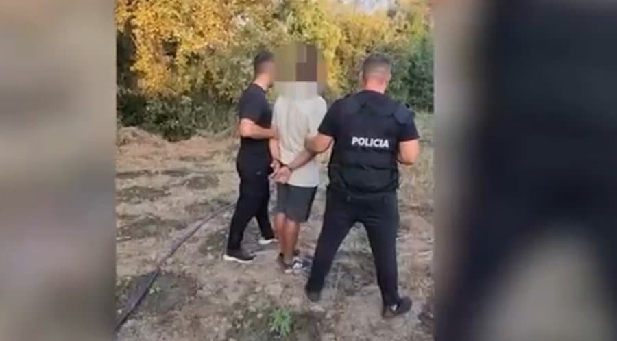 Arrestohet 32-vjeçari në Krujë, kapet duke kultivuar 110 bimë kanabisi
