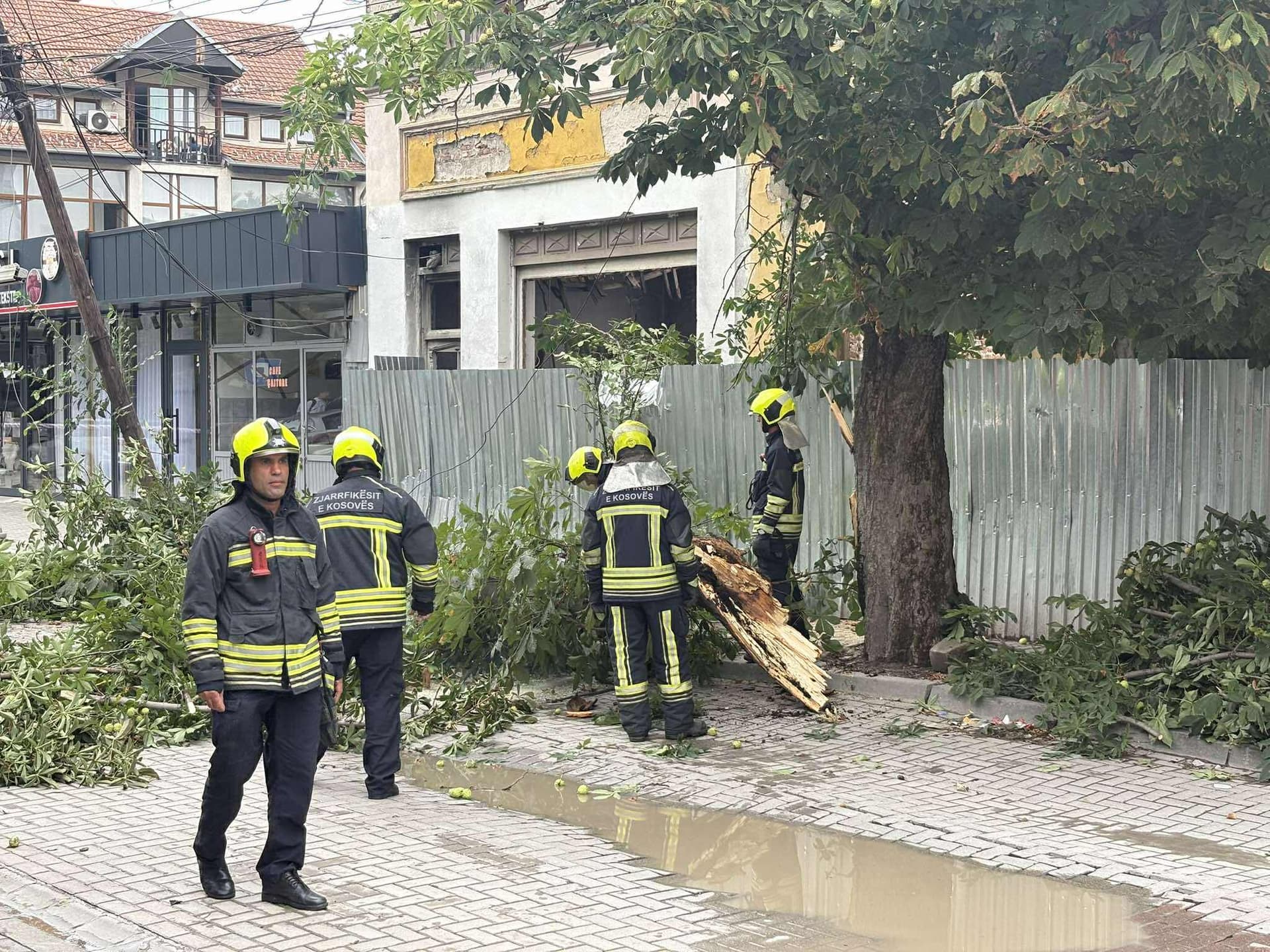 Rrëzohet një lis në rrugën “Xhemajl Prishtina” në Prishtinë, s’ka lënduar