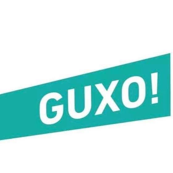 Lipjan, Lista Guxo premton formimin e drejtorisë për programim