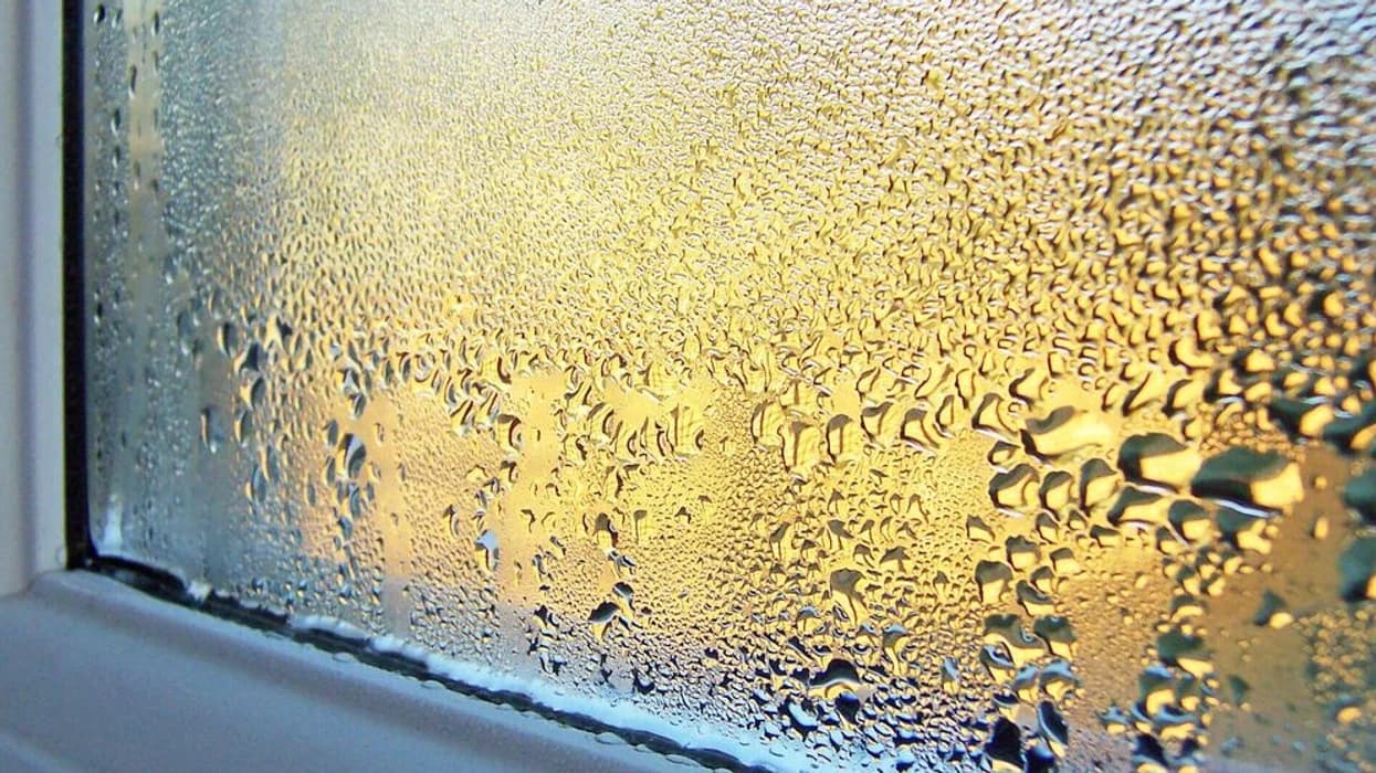 Truk kurioz: Si të largoni lagështinë nga dritaret e dhomës