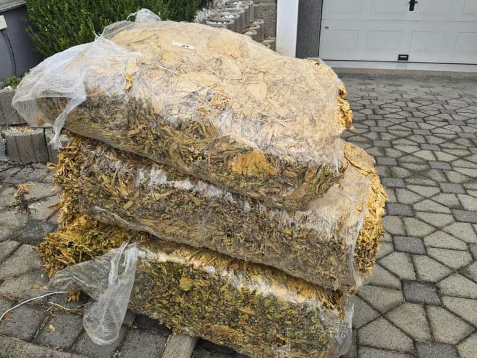 Zbulohen dy lokacione ku grumbulloheshin mallra të kontrabanduara, kapen mbi 300 kg duhan