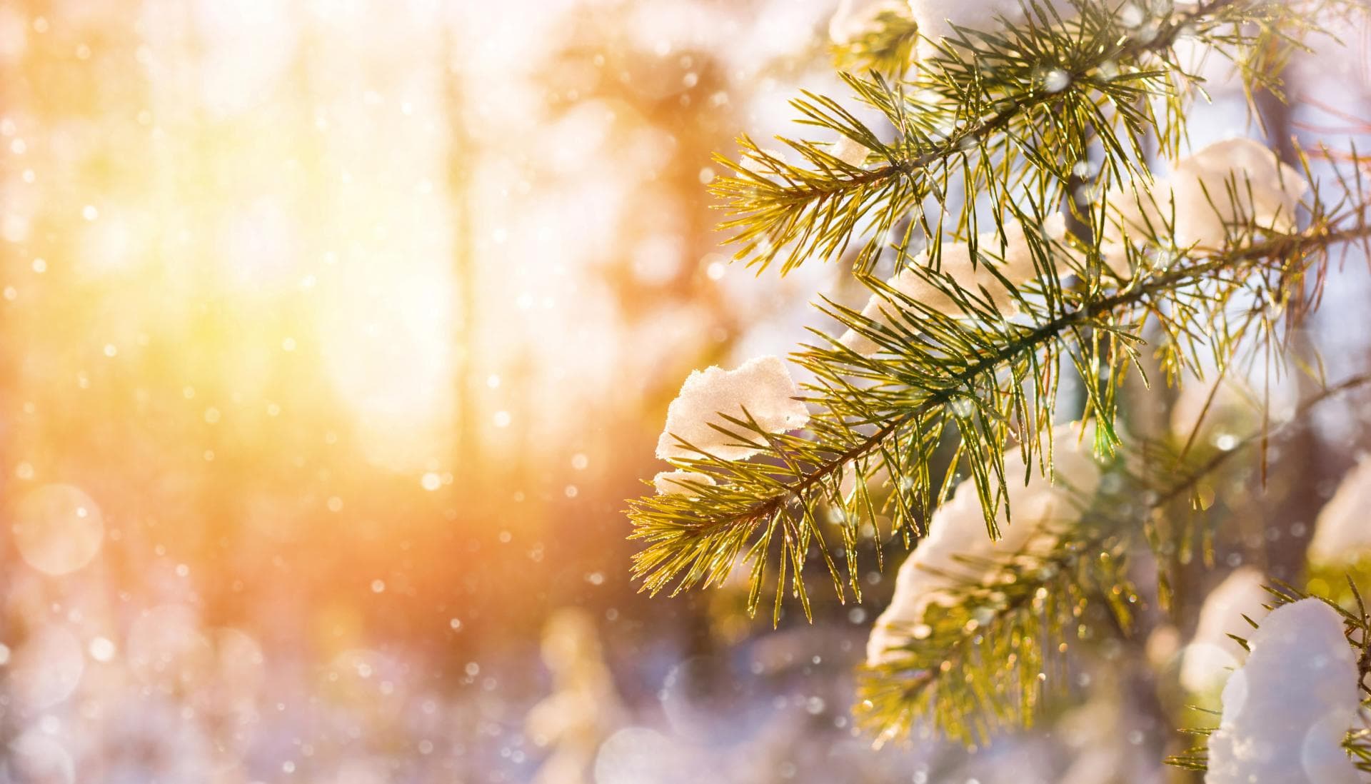 Moti sot i vranët dhe me intervale me diell, temperatura deri në – 6