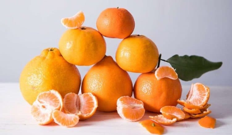 Mandarinat apo portokallet, cilat kanë më shumë vlera ushqyese